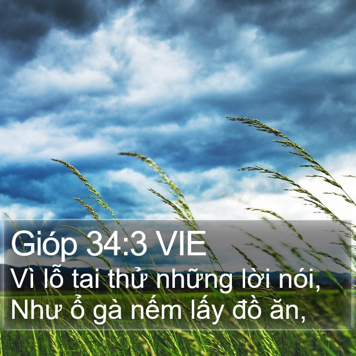 Gióp 34:3 VIE Bible Study