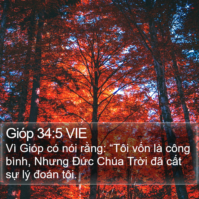 Gióp 34:5 VIE Bible Study