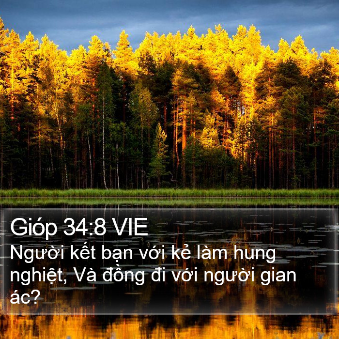 Gióp 34:8 VIE Bible Study