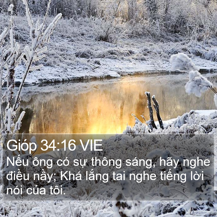 Gióp 34:16 VIE Bible Study