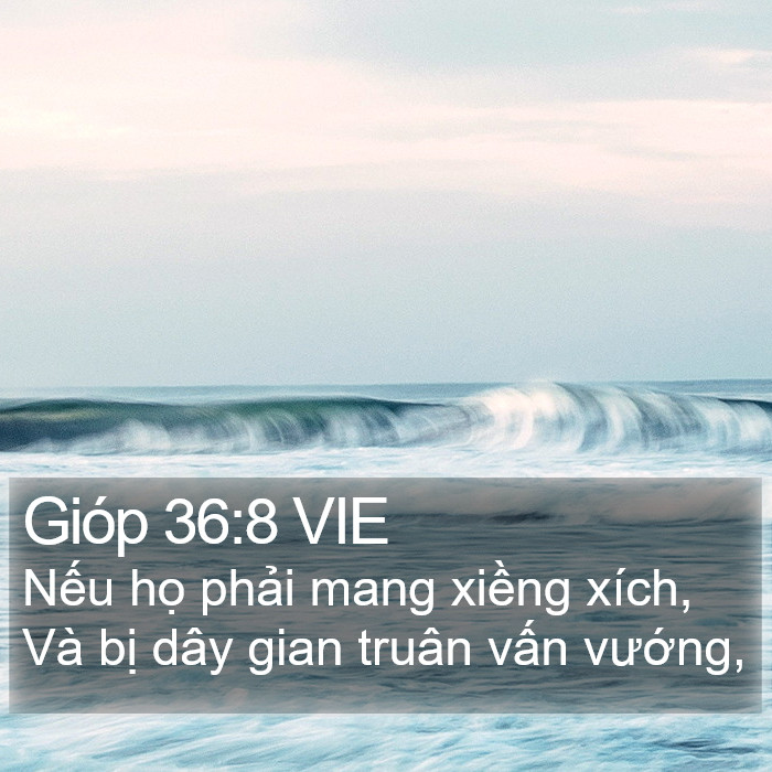 Gióp 36:8 VIE Bible Study