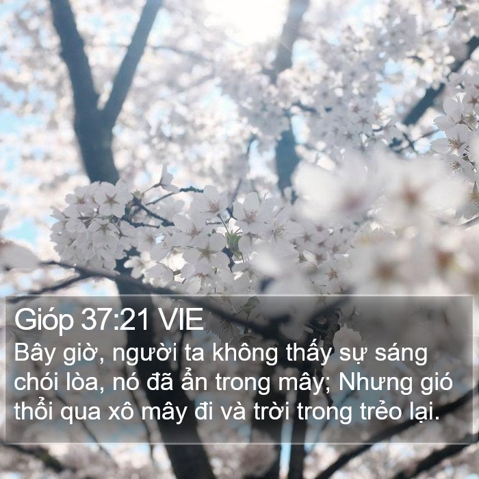 Gióp 37:21 VIE Bible Study