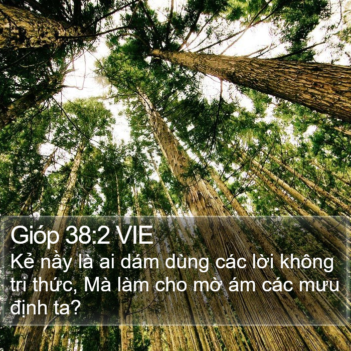 Gióp 38:2 VIE Bible Study