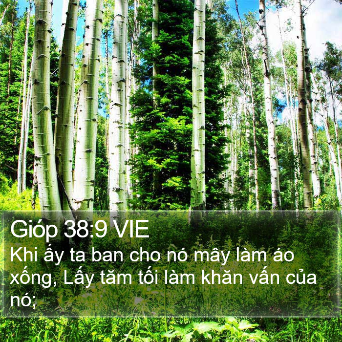 Gióp 38:9 VIE Bible Study