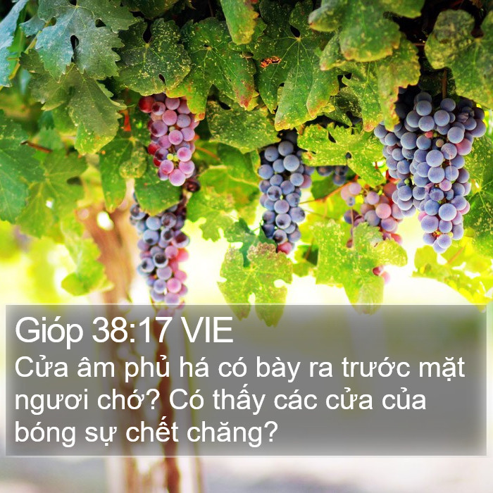 Gióp 38:17 VIE Bible Study