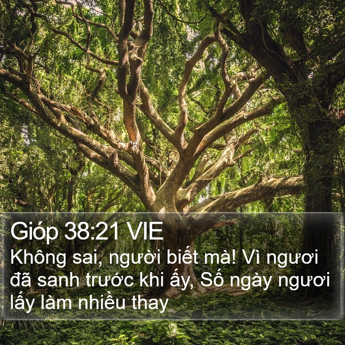 Gióp 38:21 VIE Bible Study