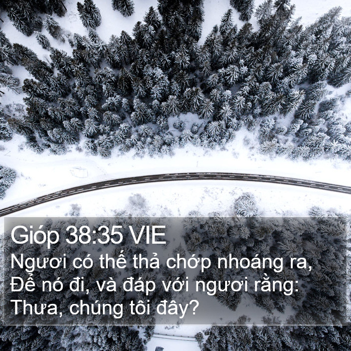 Gióp 38:35 VIE Bible Study