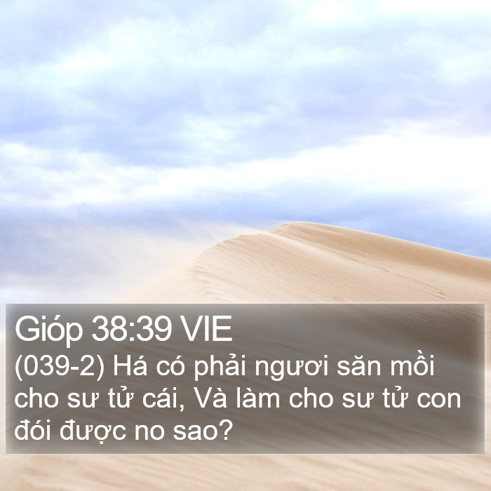 Gióp 38:39 VIE Bible Study