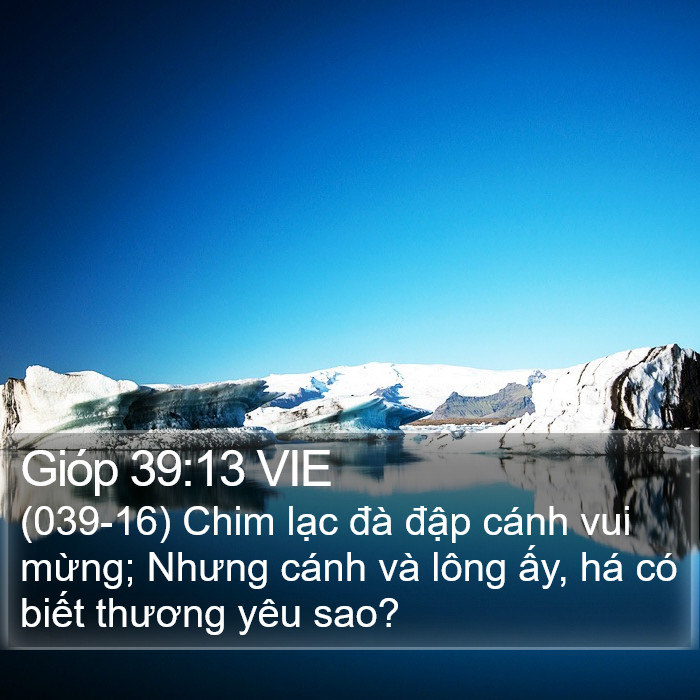 Gióp 39:13 VIE Bible Study