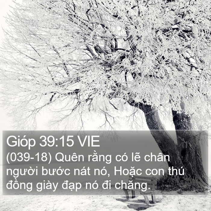 Gióp 39:15 VIE Bible Study