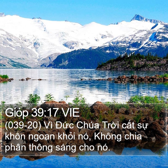 Gióp 39:17 VIE Bible Study