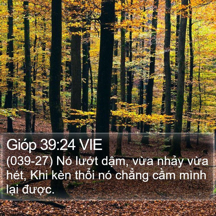 Gióp 39:24 VIE Bible Study