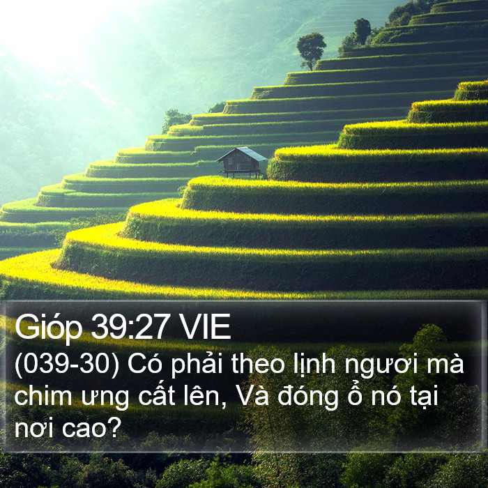 Gióp 39:27 VIE Bible Study