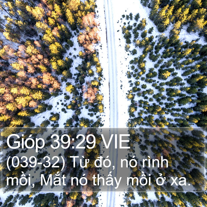 Gióp 39:29 VIE Bible Study