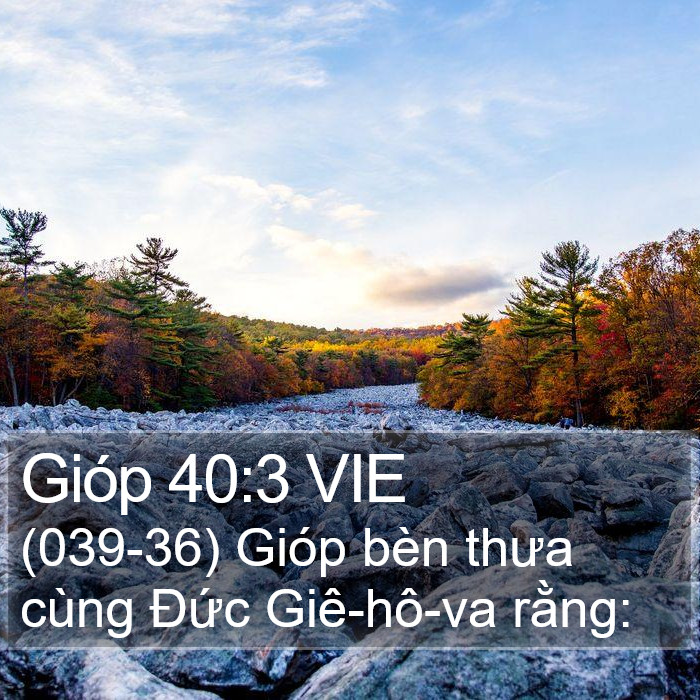 Gióp 40:3 VIE Bible Study