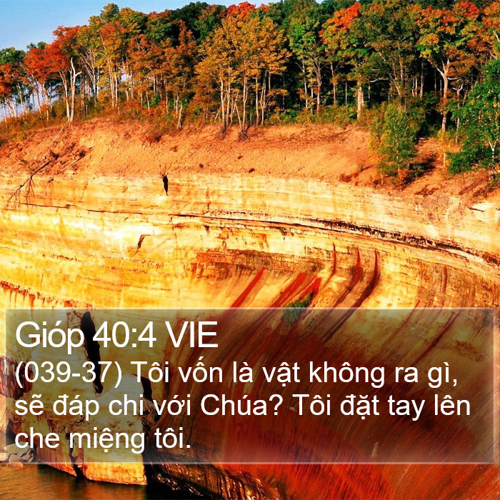 Gióp 40:4 VIE Bible Study