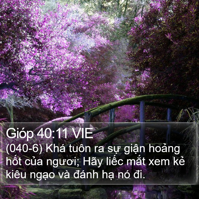 Gióp 40:11 VIE Bible Study