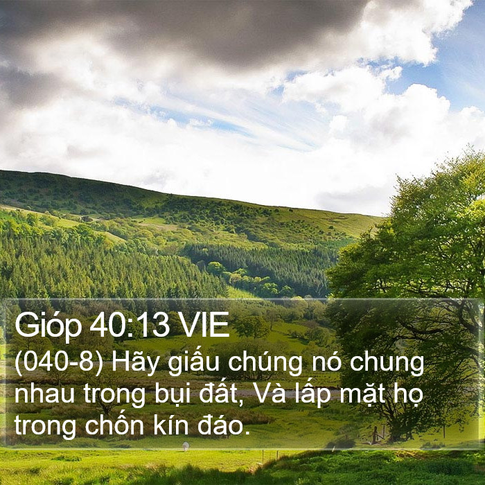 Gióp 40:13 VIE Bible Study