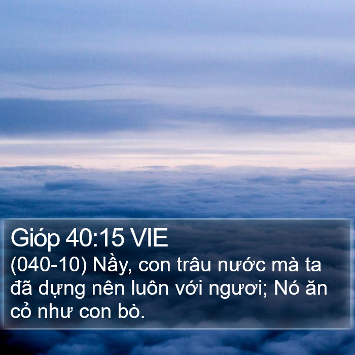 Gióp 40:15 VIE Bible Study