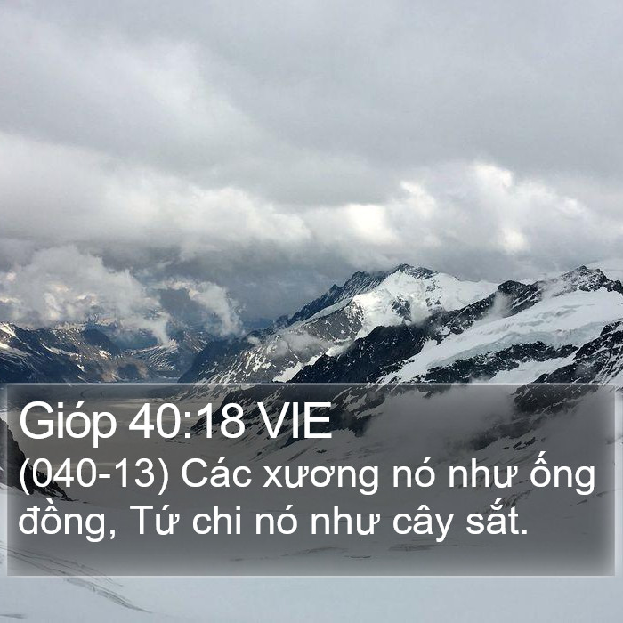Gióp 40:18 VIE Bible Study