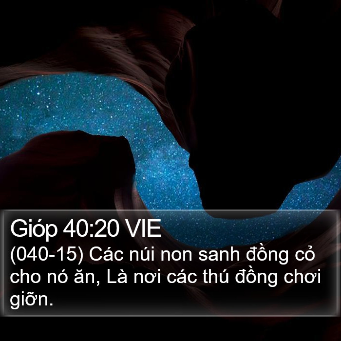 Gióp 40:20 VIE Bible Study