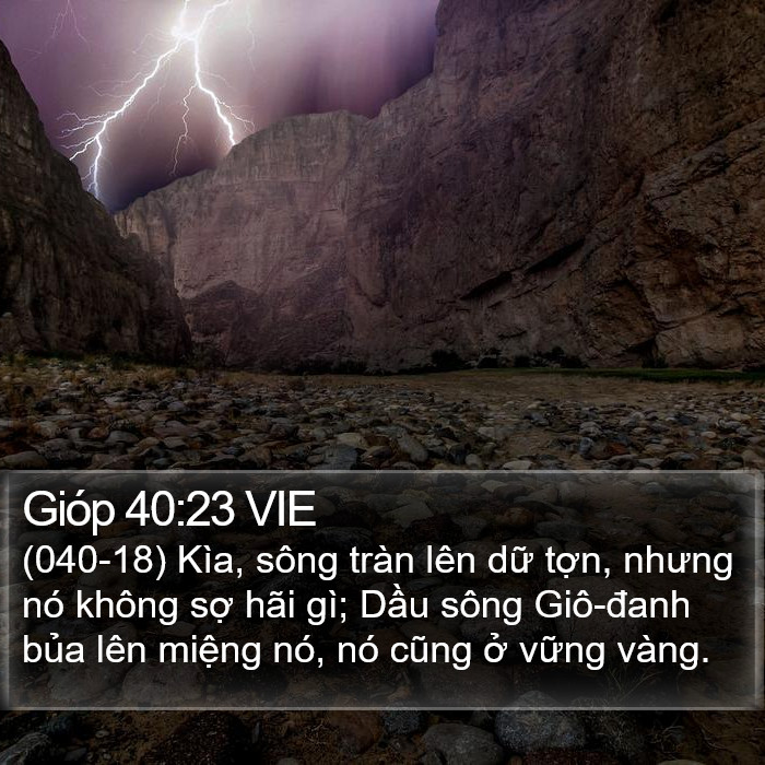 Gióp 40:23 VIE Bible Study