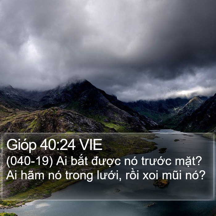 Gióp 40:24 VIE Bible Study