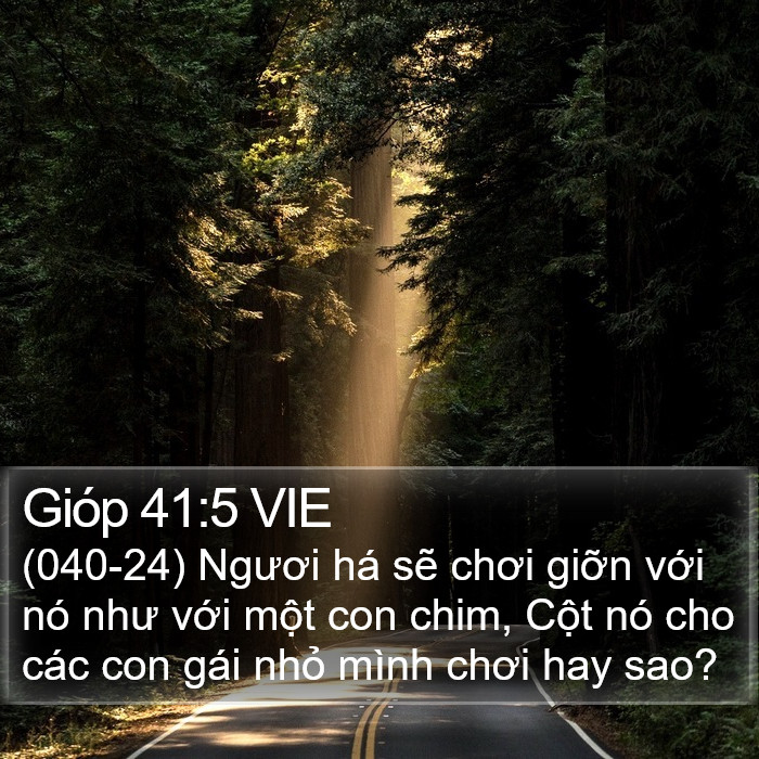 Gióp 41:5 VIE Bible Study