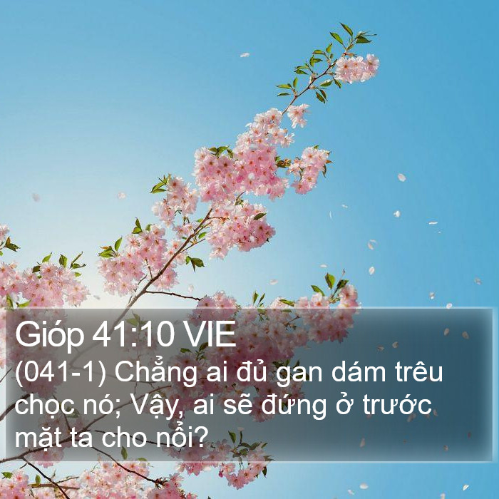 Gióp 41:10 VIE Bible Study