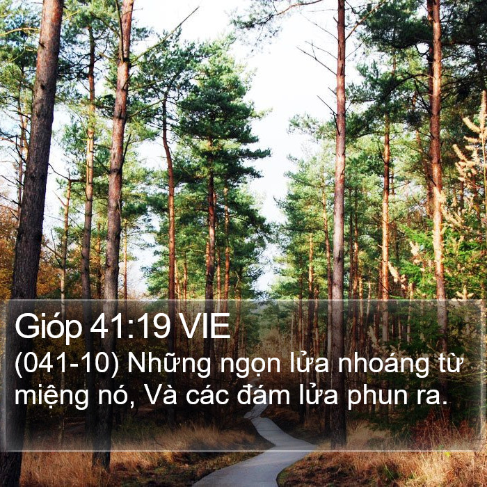 Gióp 41:19 VIE Bible Study