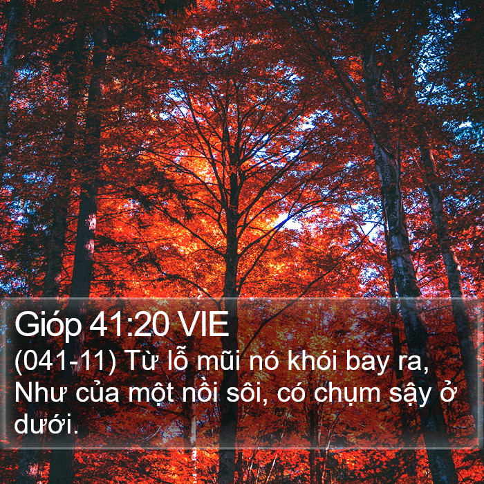 Gióp 41:20 VIE Bible Study