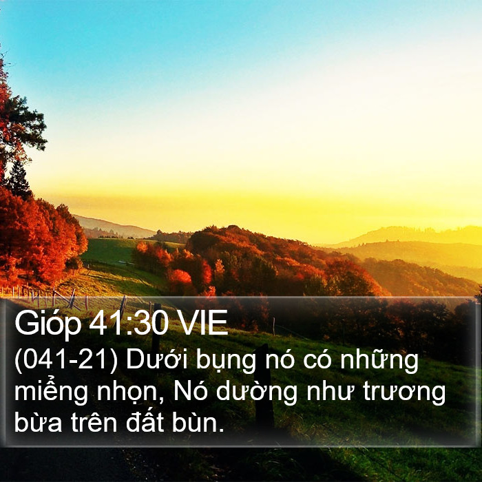 Gióp 41:30 VIE Bible Study