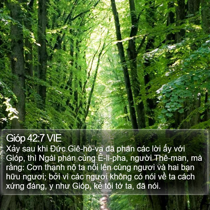 Gióp 42:7 VIE Bible Study