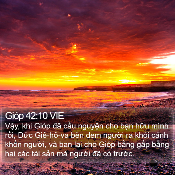 Gióp 42:10 VIE Bible Study