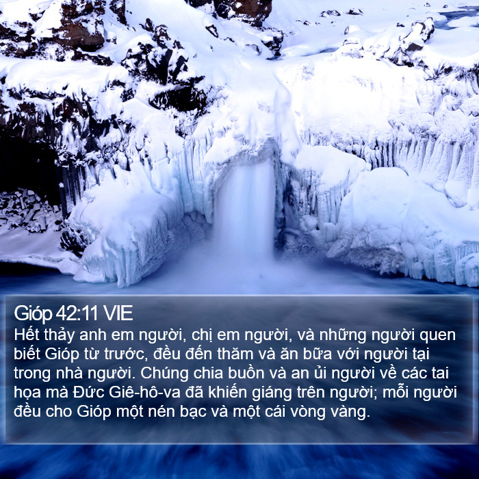 Gióp 42:11 VIE Bible Study