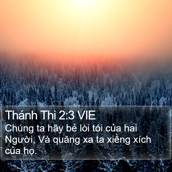 Thánh Thi 2:3 VIE Bible Study