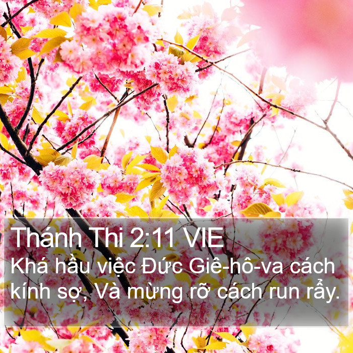 Thánh Thi 2:11 VIE Bible Study
