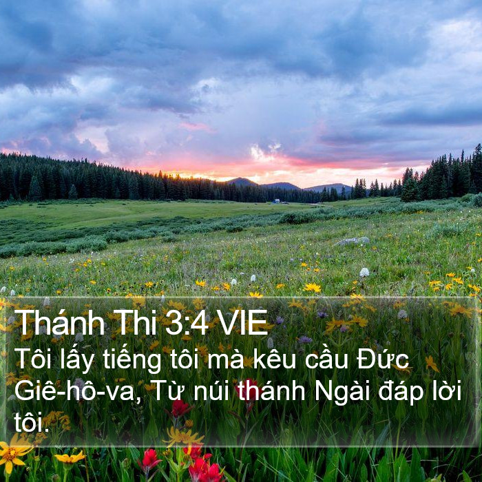 Thánh Thi 3:4 VIE Bible Study