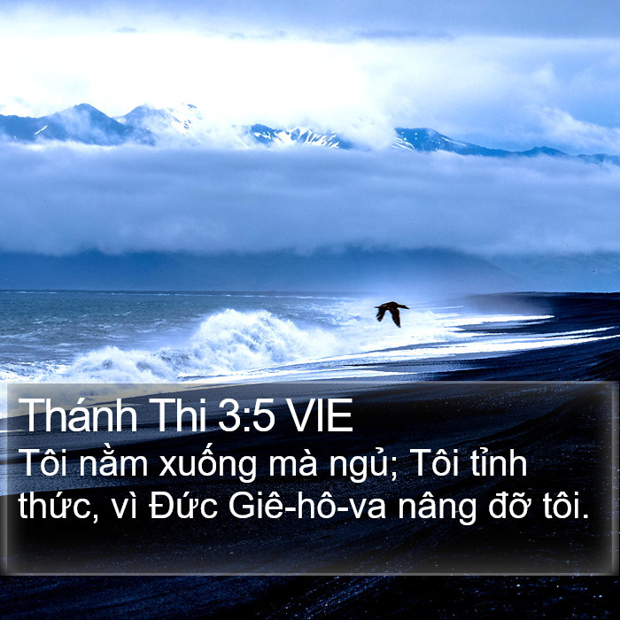 Thánh Thi 3:5 VIE Bible Study