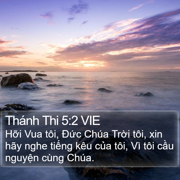 Thánh Thi 5:2 VIE Bible Study
