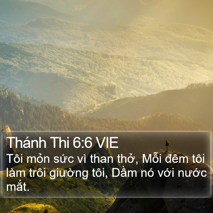 Thánh Thi 6:6 VIE Bible Study