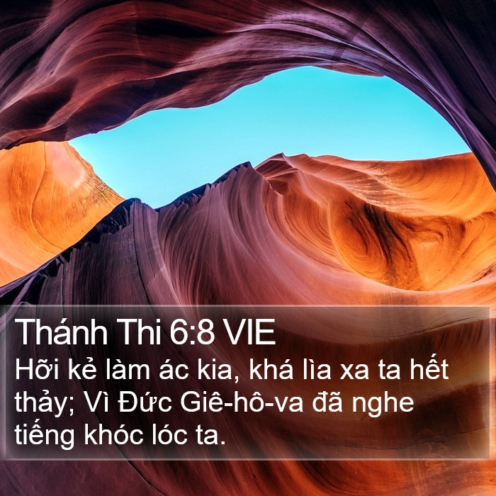 Thánh Thi 6:8 VIE Bible Study