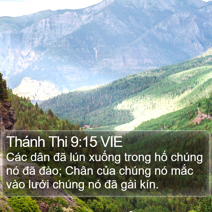 Thánh Thi 9:15 VIE Bible Study