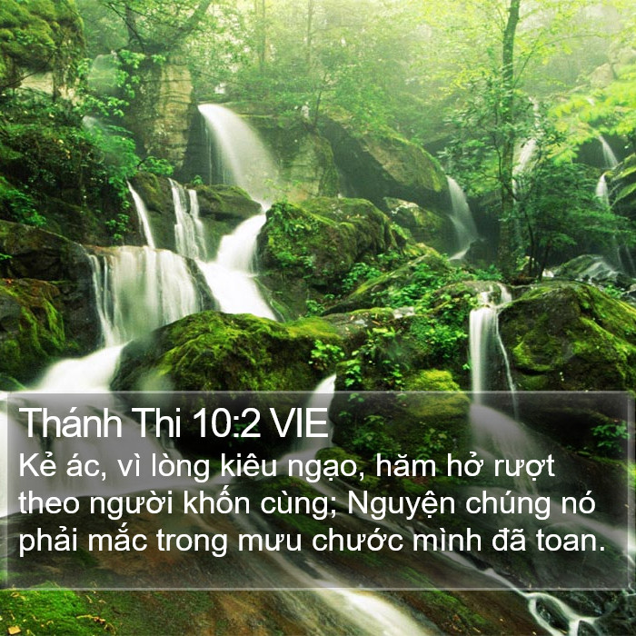 Thánh Thi 10:2 VIE Bible Study