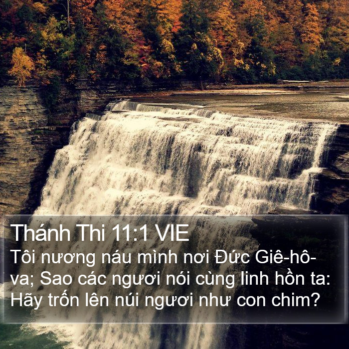 Thánh Thi 11:1 VIE Bible Study