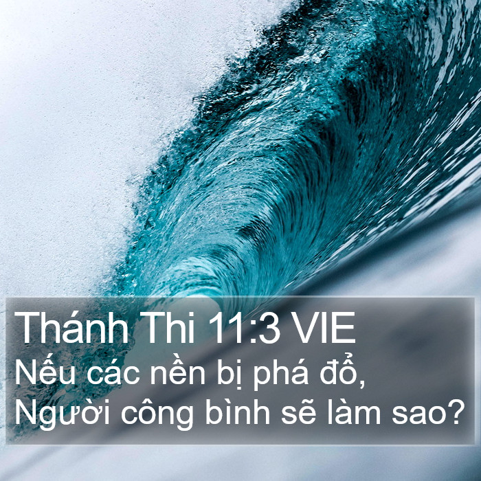 Thánh Thi 11:3 VIE Bible Study