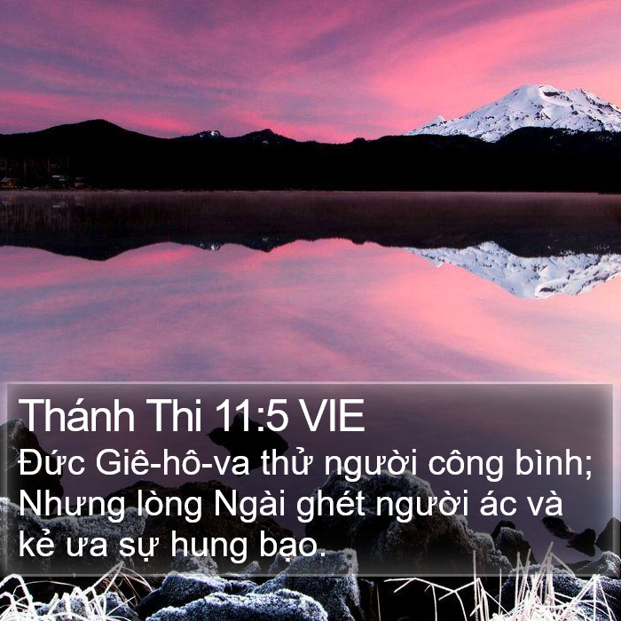 Thánh Thi 11:5 VIE Bible Study