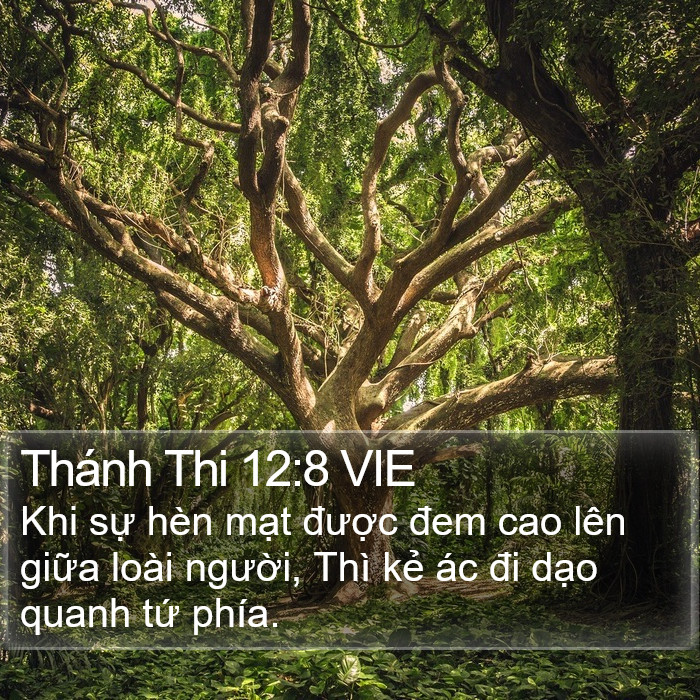 Thánh Thi 12:8 VIE Bible Study