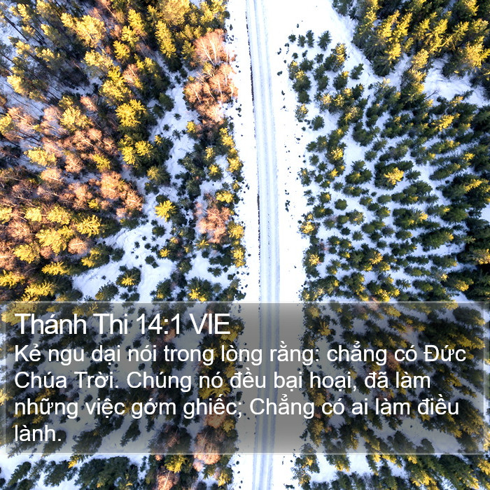 Thánh Thi 14:1 VIE Bible Study