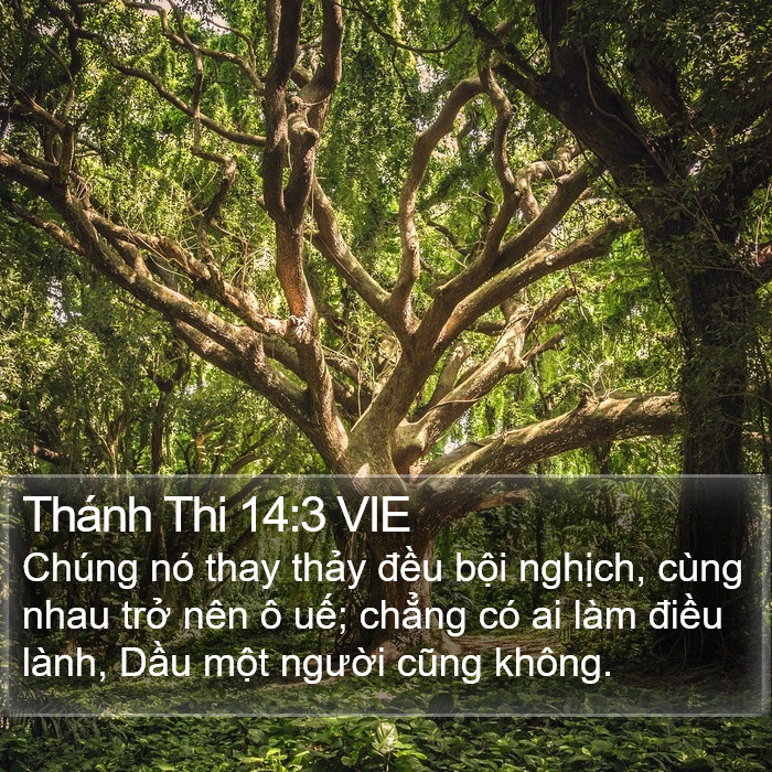 Thánh Thi 14:3 VIE Bible Study